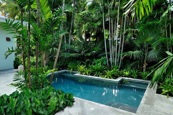 Cinco mejores plantas para el paisajismo de piscinas