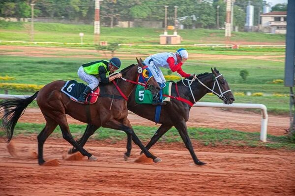 Turf: jornada de sueltas en el hipódromo  - Polideportivo - ABC Color