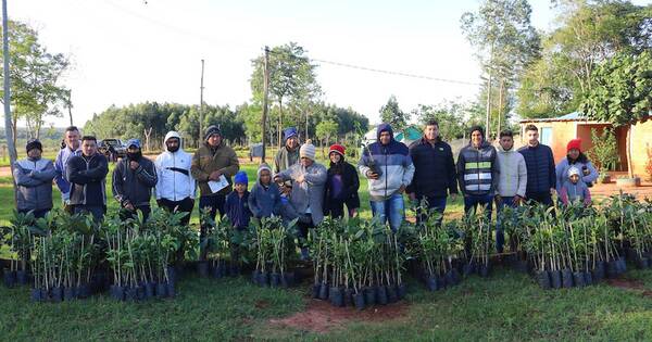 La Nación / Un escudo ecológico ante las amenazas naturales