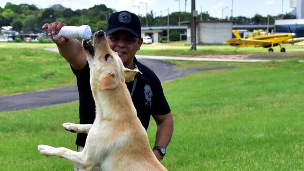 Así se preparan los héroes de 4 patas para combatir el narcotráfico