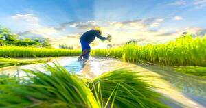 La Nación / Paraguay resalta como país con productos exportados basados en la biodiversidad