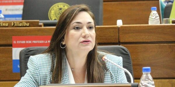 Diputada Abed sostiene que la educación no puede basarse en donaciones condicionadas