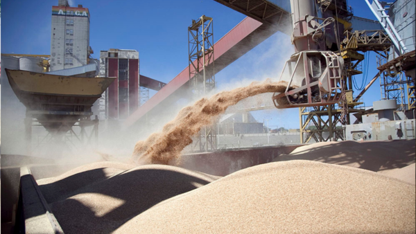 Agroindustrias abogan por flexibilizaciones para proteger empleos | Locales | 5Días