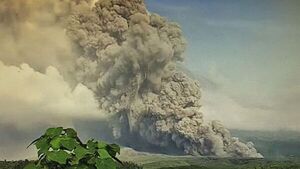 Casi 2.000 desplazados tras la erupción de un volcán en Indonesia