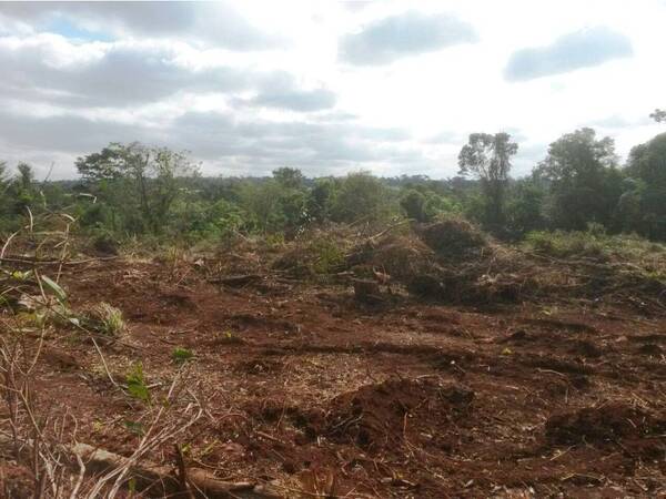 “No están solos”: Serie sobre secuelas de la deforestación en el Chaco se estrena este lunes - trece