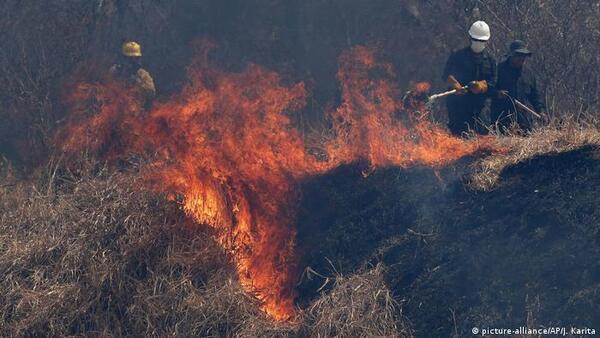 Bolivia: miles de familias son afectadas por incendios forestales