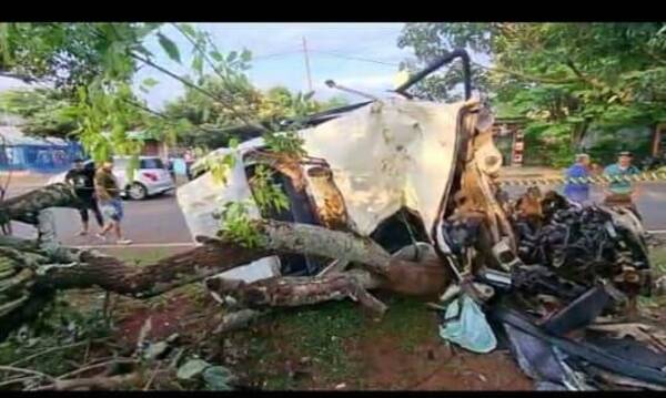 ¿Corría de la policía? Destrozó su auto por un árbol y terminó falleciendo