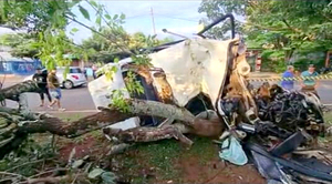 Joven automovilista se estrella contra un árbol y muere de forma instantánea - La Clave