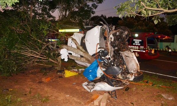 Automovilista muere al impactar contra un árbol cuando trataba de escapar de patrullera policial – Diario TNPRESS