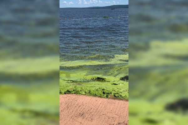 Diario HOY | Algas verdes florecen en el lago Ypacaraí