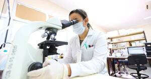 La Nación / Difusión científica universitaria: arrancaron los coloquios científicos de la UNA