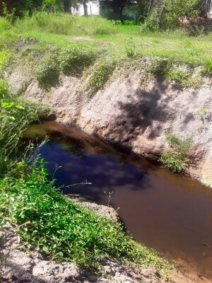 Limpio: frigorífico no reúne parámetros ambientales, dicen concejales - Nacionales - ABC Color