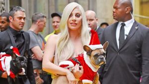 Lo sentencian a 21 años de cárcel por robar perros de Lady Gaga 