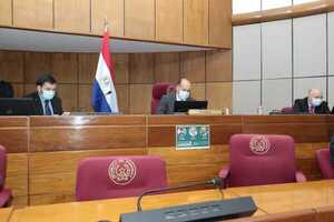 Los senadores ya están en otra: Ni en modo virtual consiguen quórum y levantan sesión - ADN Digital