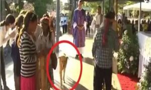 Familia veía misa de Caacupé en tv y vieron a su firulais perdido en la Basilica