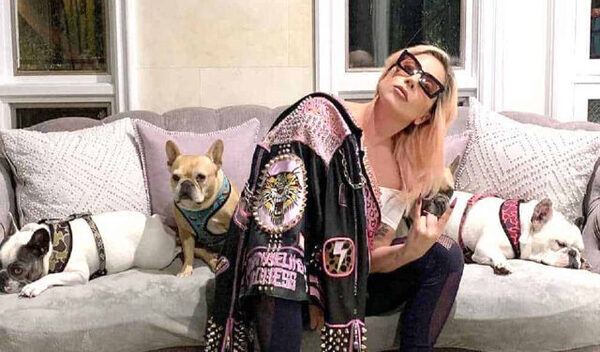 Diario HOY | Pistolero que robó perros de Lady Gaga recibe pena de 21 años de cárcel