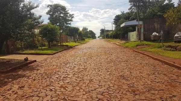 Supuesto ladrón muere tras ser perseguido por ciudadanos - Paraguaype.com