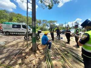 Peregrino murió antes de llegar junto a la virgencita azul en Caacupé