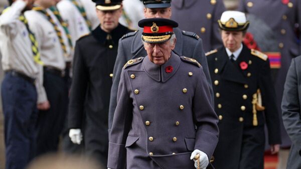 Un joven es detenido por arrojar un huevo hacia el rey Carlos III