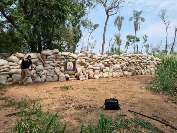 SENAD incauta 18 mil kilos de marihuana enterrados en fosas | 1000 Noticias