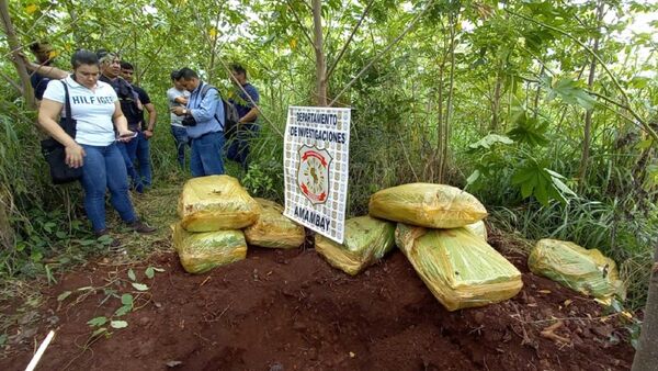 Policía halla marihuana en búsqueda de peligroso sicario en Amambay