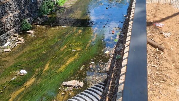 Consorcio denunciado en Lambaré cuenta con permiso de la Erssan para operar