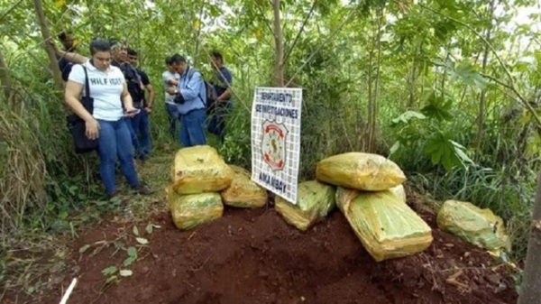 Encuentran marihuana en búsqueda de peligroso sicario en PJC - Paraguaype.com