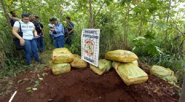 Policía halla marihuana en búsqueda de peligroso sicario en Amambay - Noticiero Paraguay