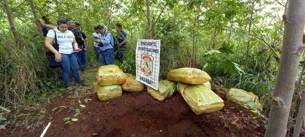 Policía halla marihuana en búsqueda de peligroso sicario en Amambay