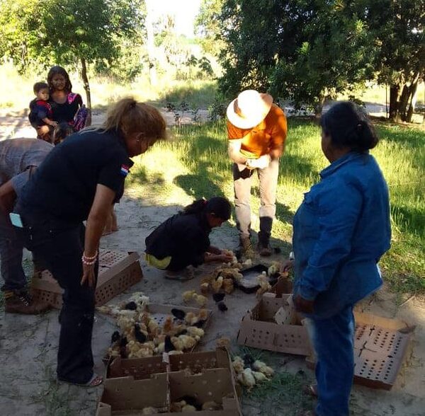Entregan pollitos a pobladores de Yguazú
