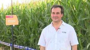 Presentaron nuevo insecticida que protege a varios cultivos - Economía - ABC Color
