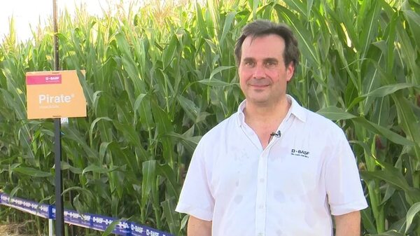 Presentaron nuevo insecticida que protege a varios cultivos - Economía - ABC Color