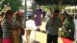 ¡Increíble historia! Un perro perdido fue encontrado en misa de Caacupé