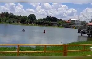 (VIDEO)Se tiró en la laguna de Itá para que le coman yacarés pero no logró su objetivo