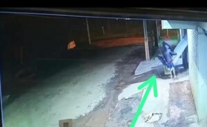 Tres maleantes forzaron portón de edificio y hurtaron dos motos