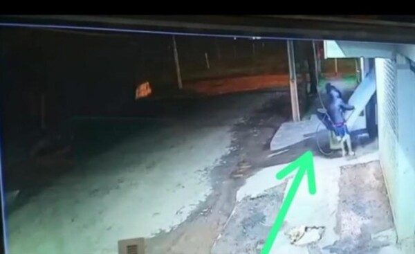 Tres maleantes forzaron portón de edificio y hurtaron dos motos