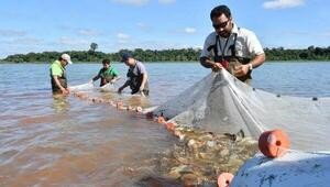 Sorprenden a dos argentinos pescando hacia el lado paraguayo, en plena veda pesquera – Prensa 5