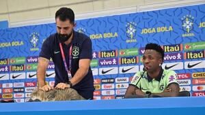 ¿Señal de mala suerte? Gato irrumpe en la conferencia de prensa de Brasil - C9N