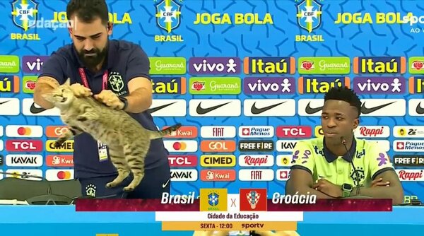 El insólito momento en la conferencia de prensa de Brasil, con un gato como protagonista