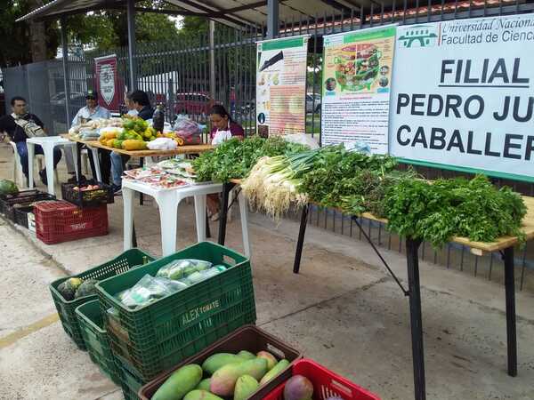 Facultad de Agronomía de la UNA realizó feria de microemprendimiento en el MAG - Radio Imperio