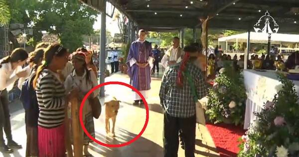 La Nación / Encontró a su perrito en plena misa de Caacupé