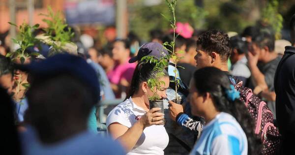 La Nación / Caacupé: entregaron 300 plantines y más de 1000 bolsitas de semillas tras homilía