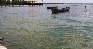 La Nación / Aguas del lago siguen sin ser aptas para baño