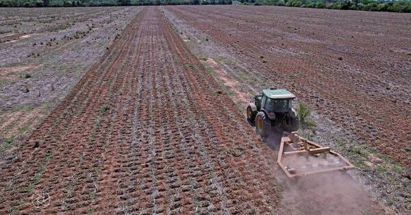 La Nación / Productores celebran lanzamiento de la zafra agrícola del Chaco