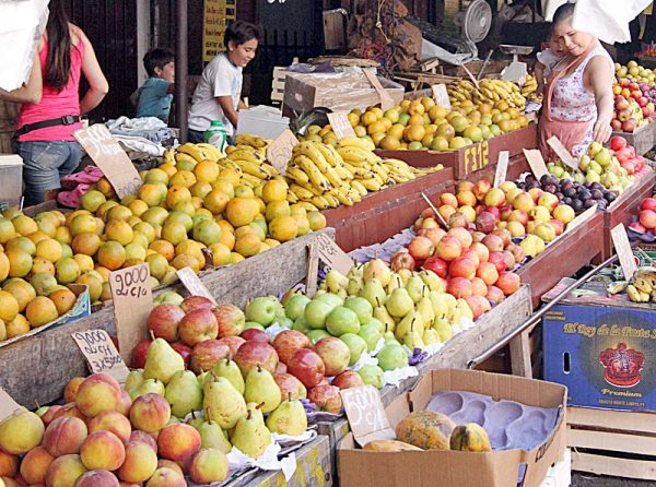 Salud Pública emite recomendaciones para pasar un verano saludable - La Clave