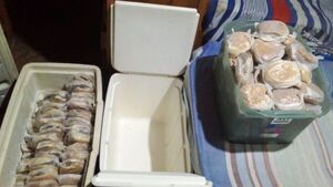 Vendió pocos sándwiches en Caacupé y recibió milagrosa ayuda