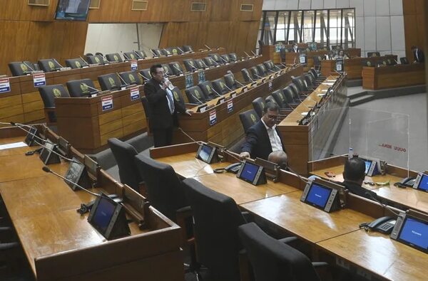 Solo seis sesiones agotaron en todo el año los Diputados - Política - ABC Color
