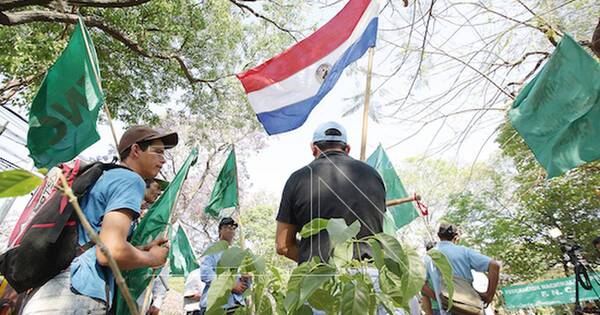 La Nación / Campesinos marcharán mañana por los derechos humanos en Asunción