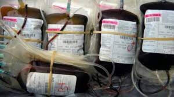 Tribunal en Nueva Zelanda quita custodia médica de hija a padres que rechazaban sangre de donantes vacunados contra el Covid-19 - Informatepy.com