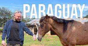 La Nación / ¡Conmovedor! Youtuber estadounidense adoptó un caballo ciego en Paraguay